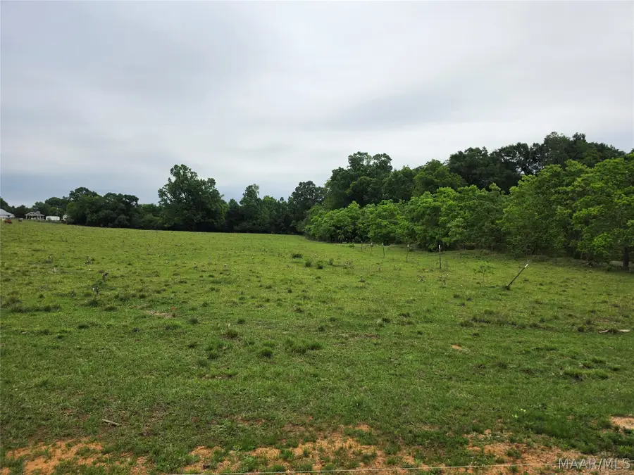 0 Womble Lane, Deatsville, AL 36022 - #3