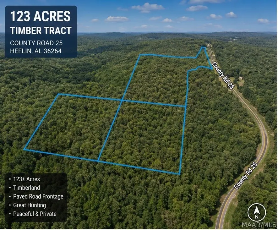 0 County Road 25, Heflin, AL 36264 - #1
