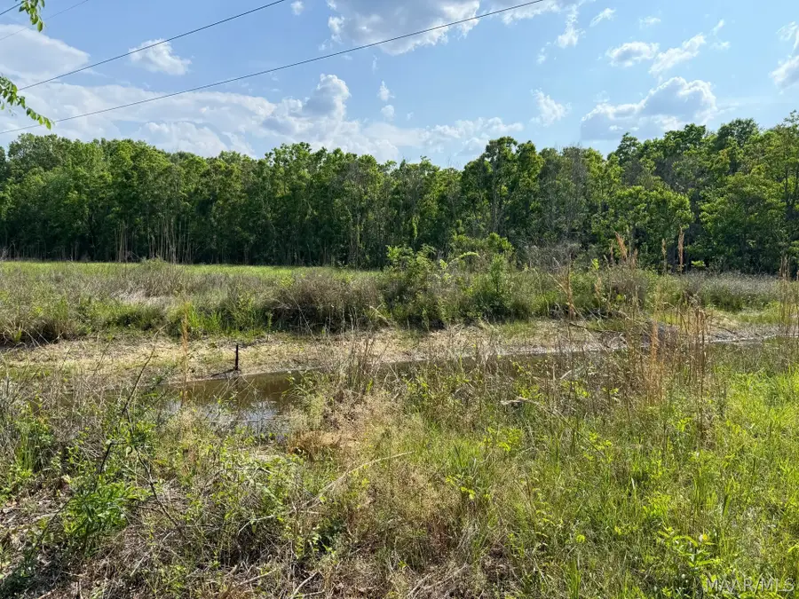 0000 Ohio Ferro Road, Montgomery, AL 36117 - #3