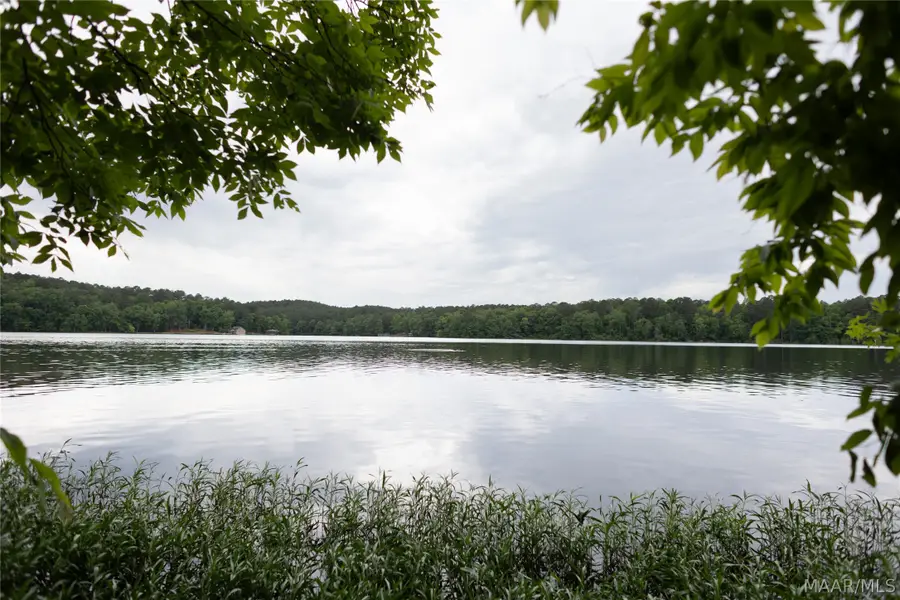Lots 141 & 142 Shore Side Lane, Sylacauga, AL 35151 - #2
