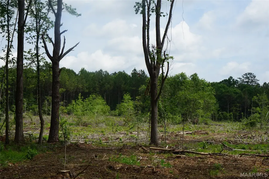 1300 Jackson Road, Fitzpatrick, AL 36029 - #2