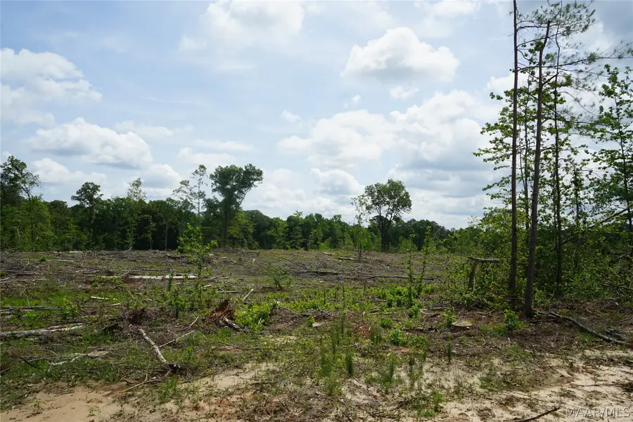 1300 Jackson Road, Fitzpatrick, AL 36029 - #3