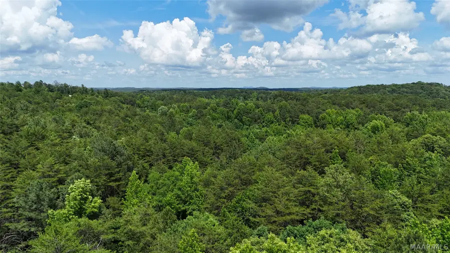 1450 SR 145 Grand Point, Clanton, AL 35046 - #3
