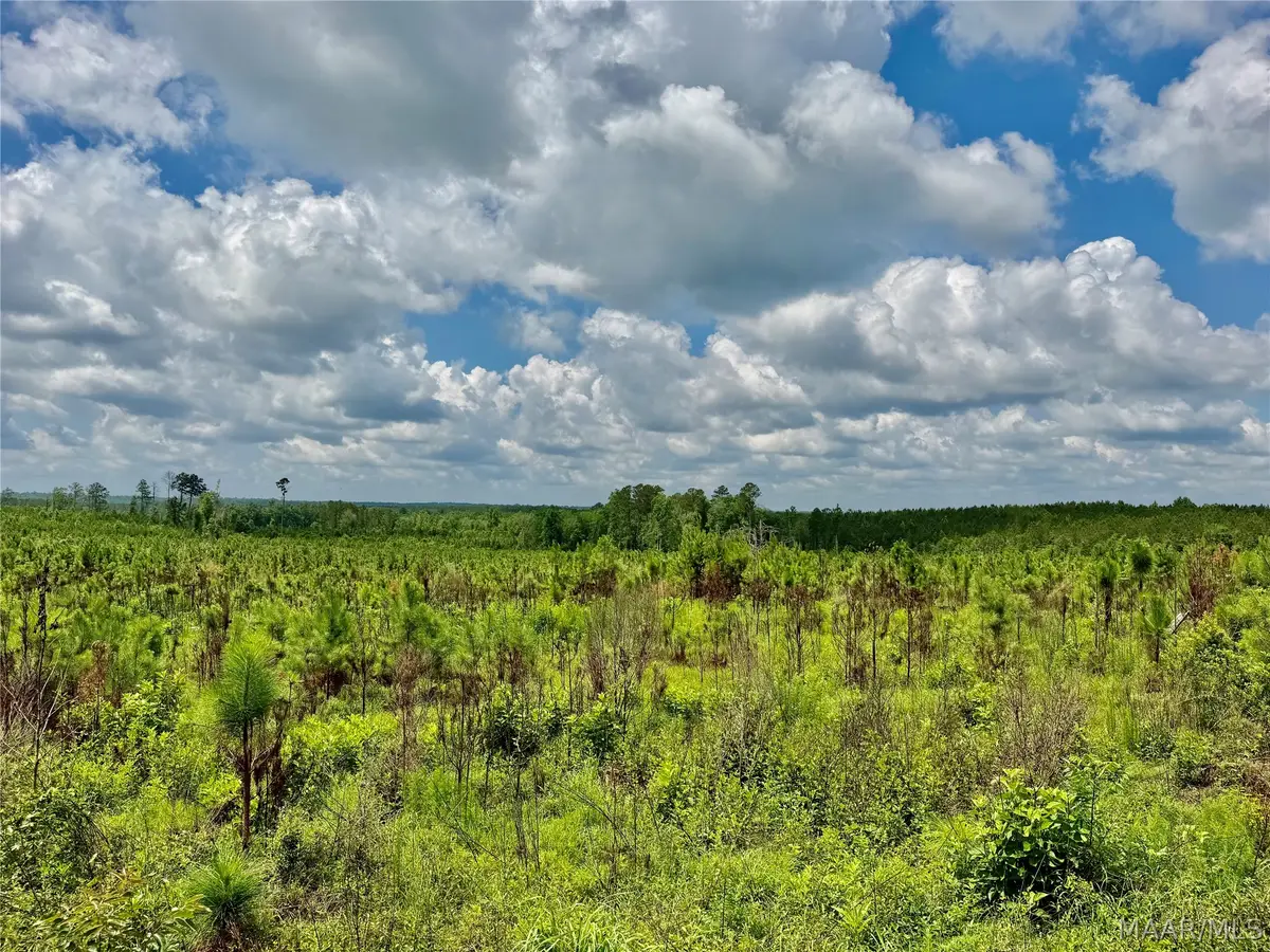 00 King Cemetery Road, Evergreen, AL 36401 - #1
