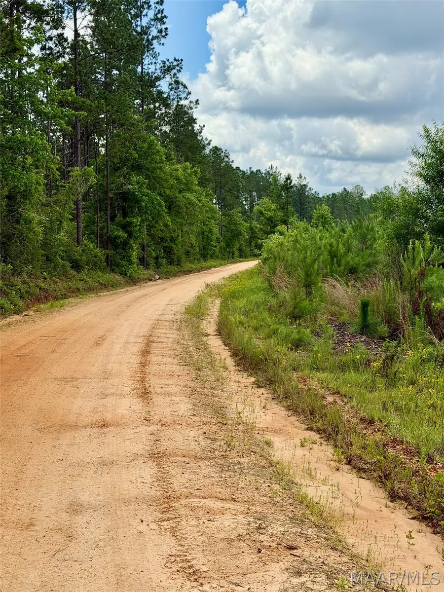 00 King Cemetery Road, Evergreen, AL 36401 - #2