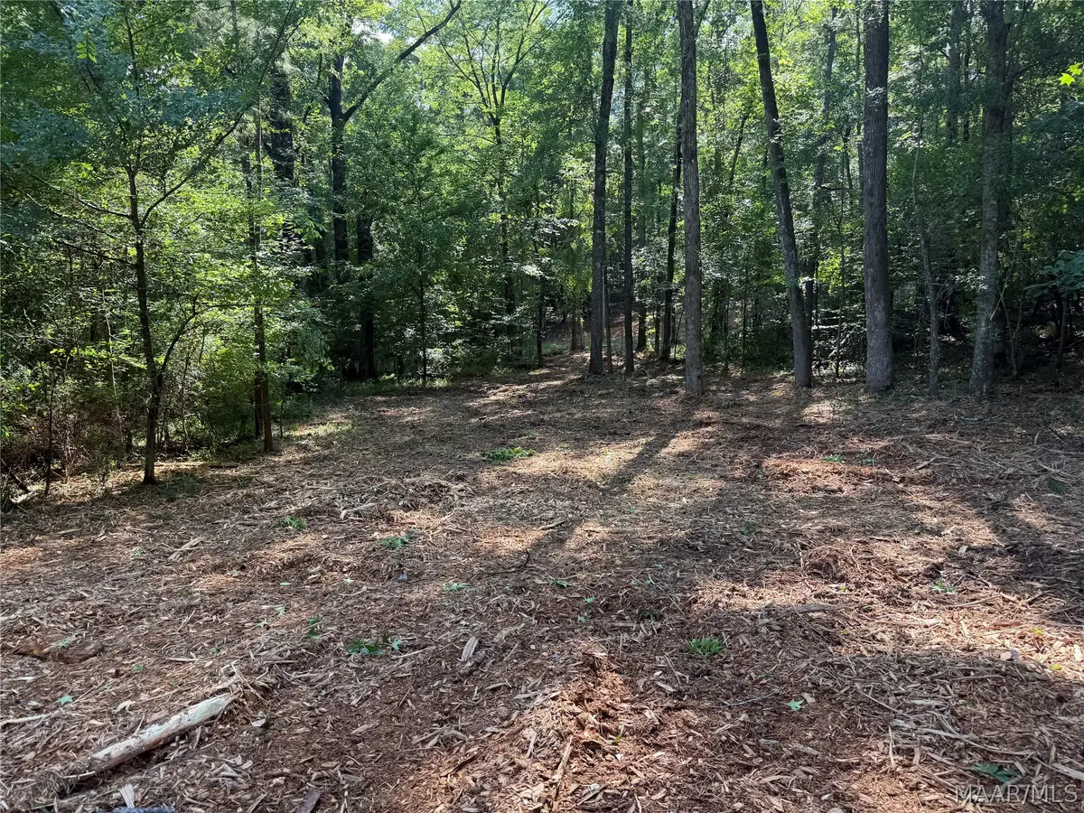 2350 Spigener Road, Titus, AL 36080 - #1