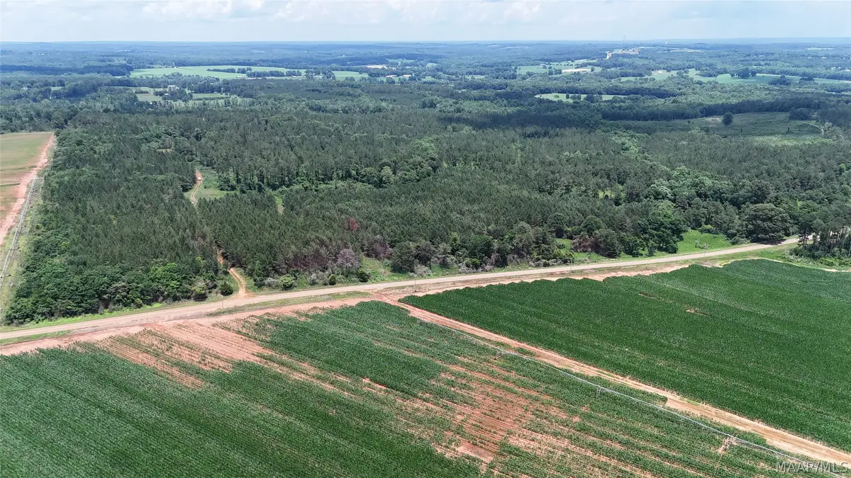 154 County Road 38 Acres, Banks, AL 36005 - #1