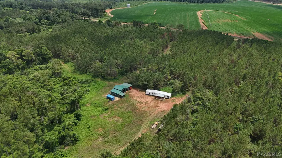154 County Road 38 Acres, Banks, AL 36005 - #2