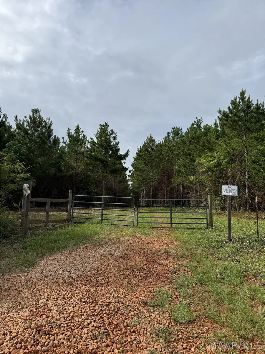 154 County Road 38 Acres, Banks, AL 36005 - #3