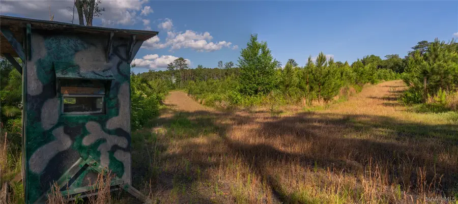 0 Milldale Road, Brookwood, AL 35444 - #2