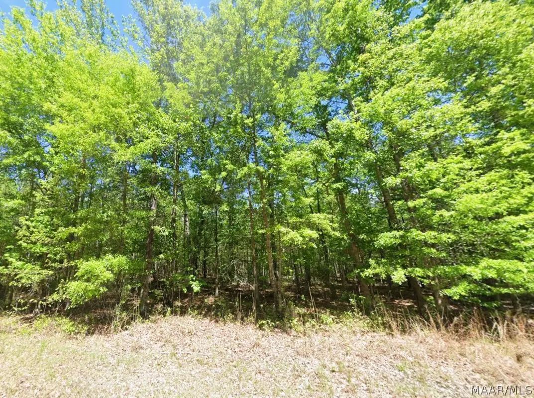 0 County Road 19, Hardaway, AL 36039 - #1