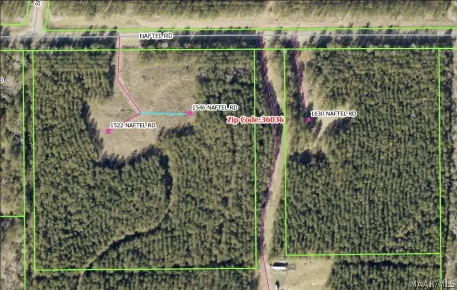 1522 Naftel Road, Grady, AL 36036 - #2