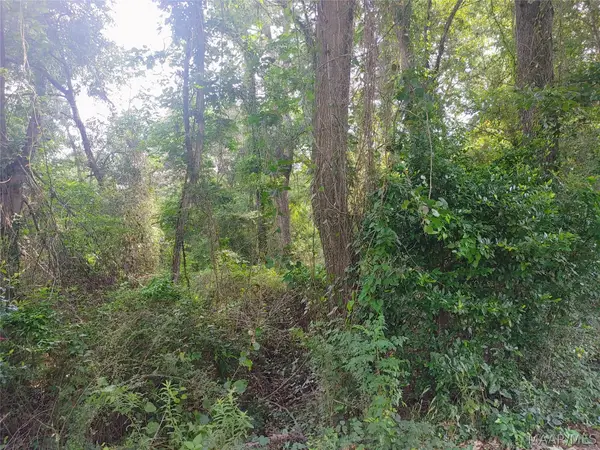 00 Old Hayneville Road, Montgomery, AL 36108