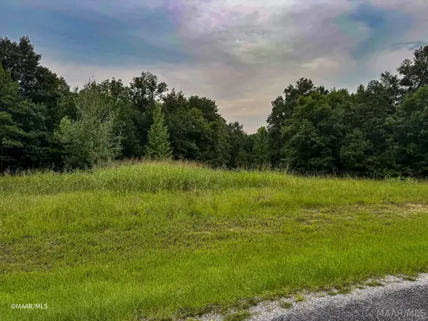 Lot 48 Legacy Shores, Alberta, AL 36720
