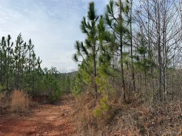 00 Valley Road, Goodwater, AL 35106