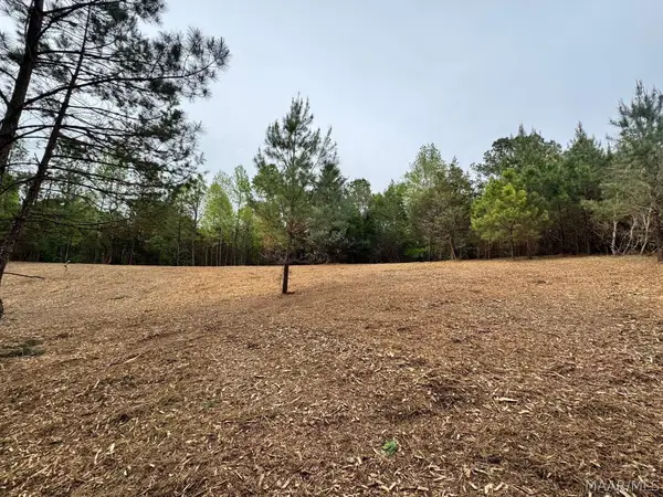 00 W Sprague Junction Road, Ramer, AL 36043
