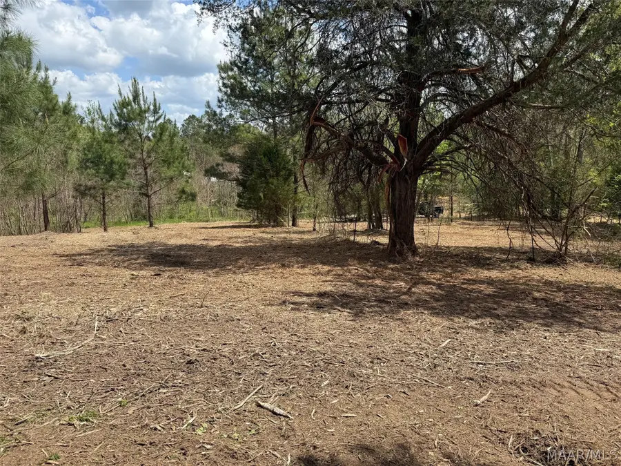 00 W Sprague Junction Road, Hope Hull, AL 36043 - #2