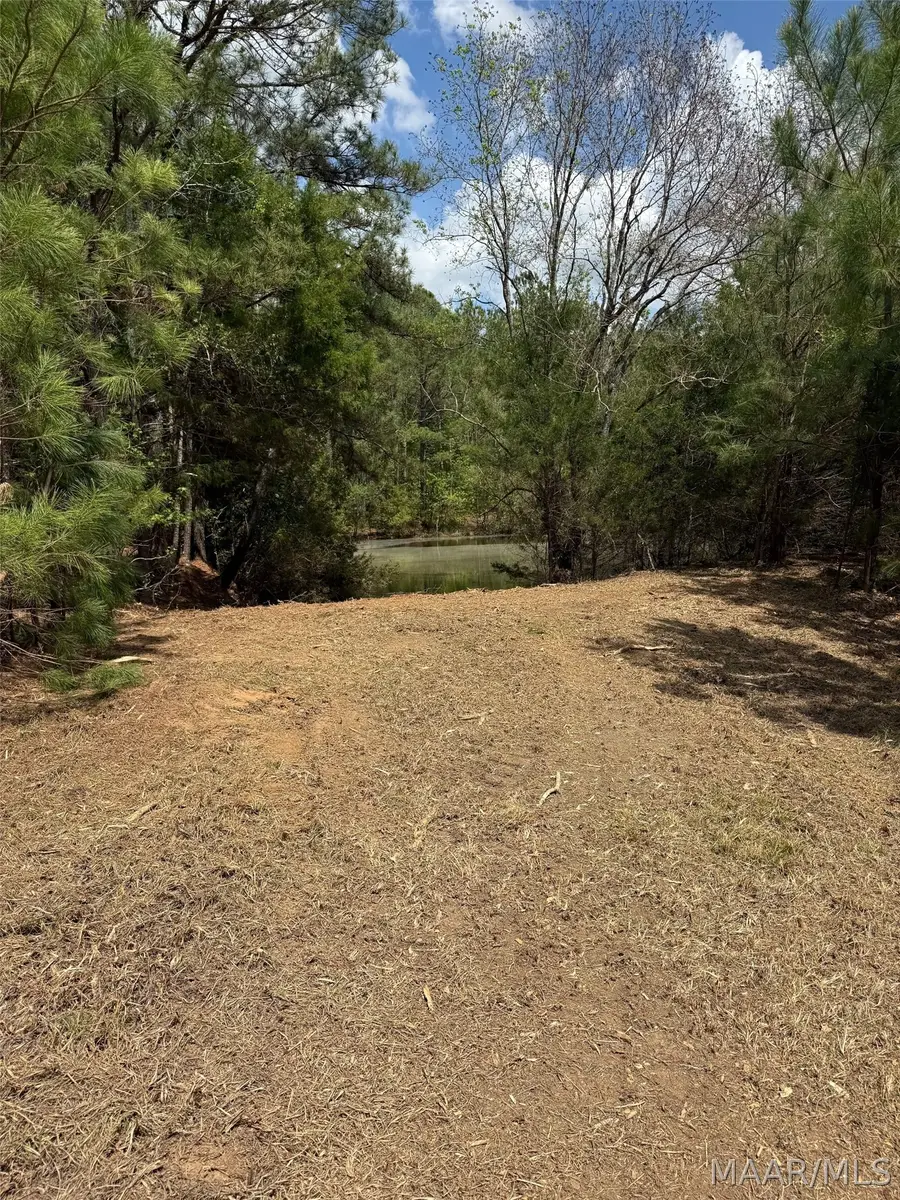 00 W Sprague Junction Road, Hope Hull, AL 36043 - #3