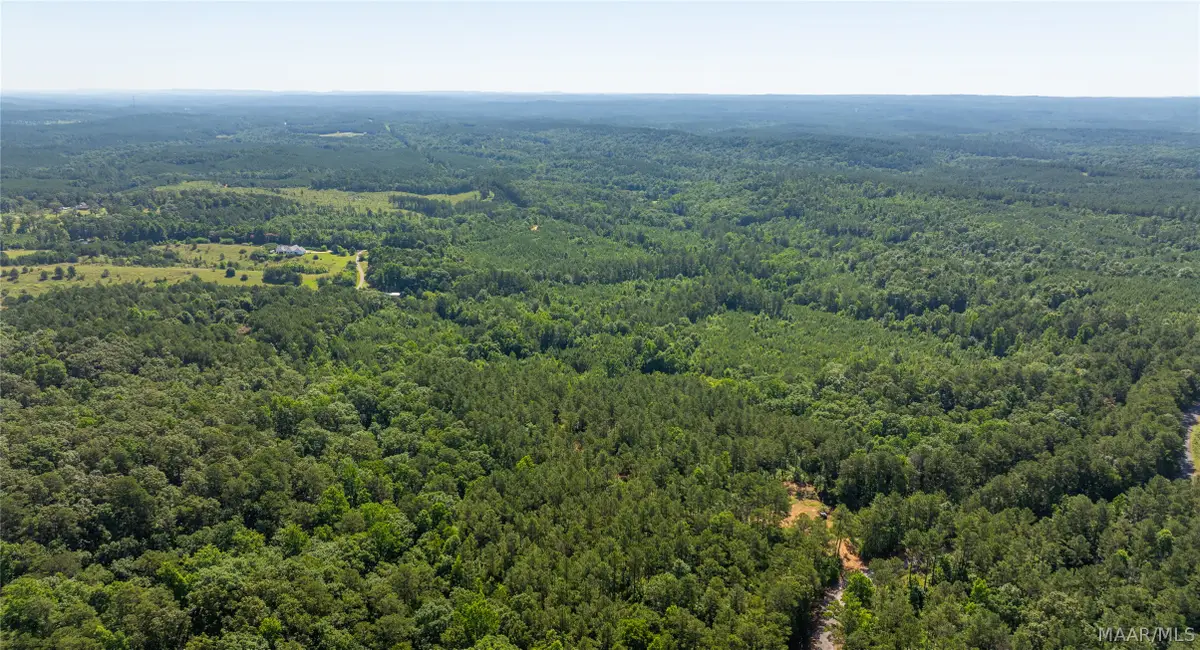 000 Bishop Ridge Road, West Blocton, AL 35184 - #1