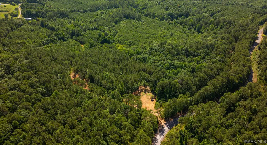 000 Bishop Ridge Road, West Blocton, AL 35184 - #2