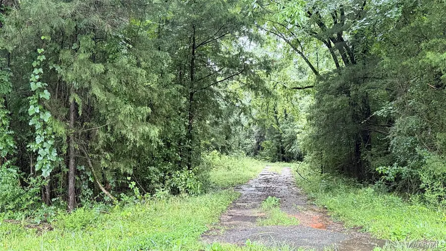0 Sherling Lake Road, Greenville, AL 36037 - #2