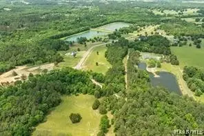 Lot 6 Leahmon Lane, Mathews, AL 36052 - #1