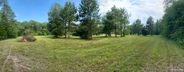 381 Hooks Road, Shorter, AL 36075 - #1
