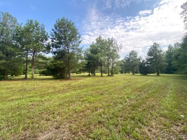 381 Hooks Road, Shorter, AL 36075 - #2