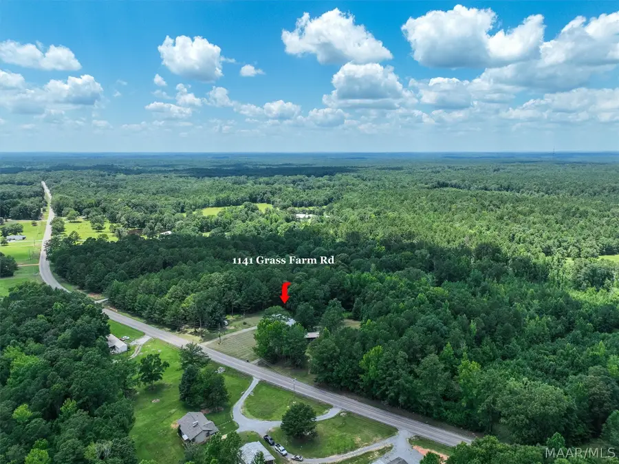 1141 Grass Farm Road, Titus, AL 36080 - #2