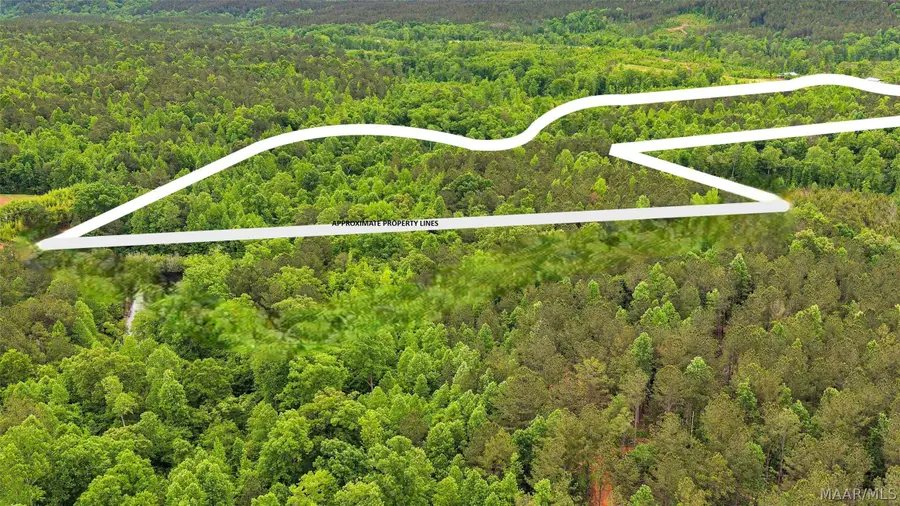 0 County Road 257, Clanton, AL 35046 - #2