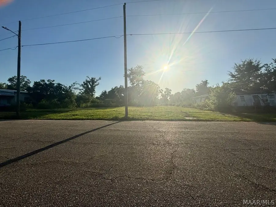 1417 Martin Luther King Street, Selma, AL 36703 - #3