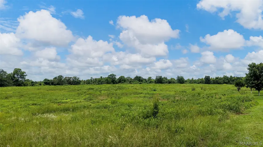 913 County Road 99 Road, Verbena, AL 36091 - #3