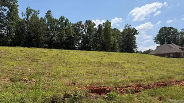0 Springwood Drive, Greenville, AL 36037
