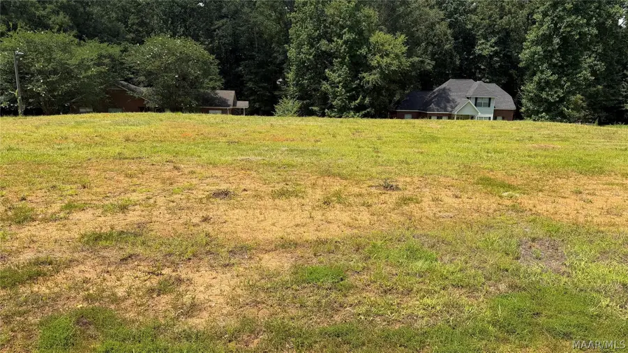 0 Springwood Drive, Greenville, AL 36037 - #2