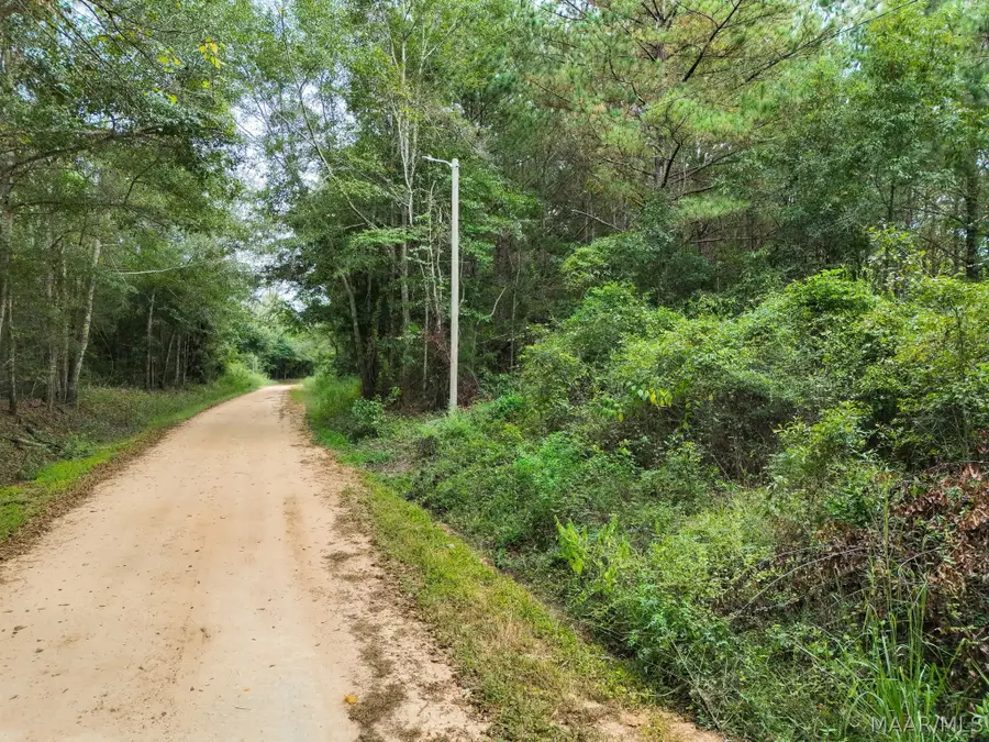 28901-28965 Central Street, Andalusia, AL 36421 - #3