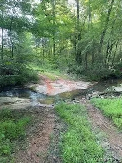 2200 Booger Hollow Road, Dadeville, AL 36853 - #2