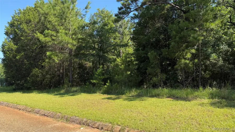 0 White Oak Way, Greenville, AL 36037 - #2