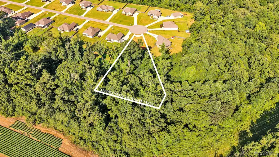 448 Regans Way, Deatsville, AL 36022 - #3