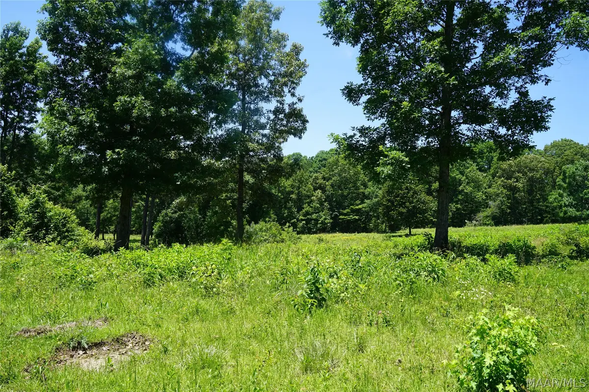 150 Lindsey Road, Eclectic, AL 36024 - #1