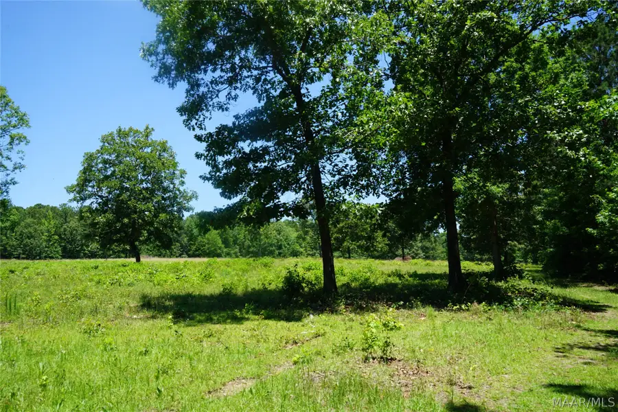 150 Lindsey Road, Eclectic, AL 36024 - #2