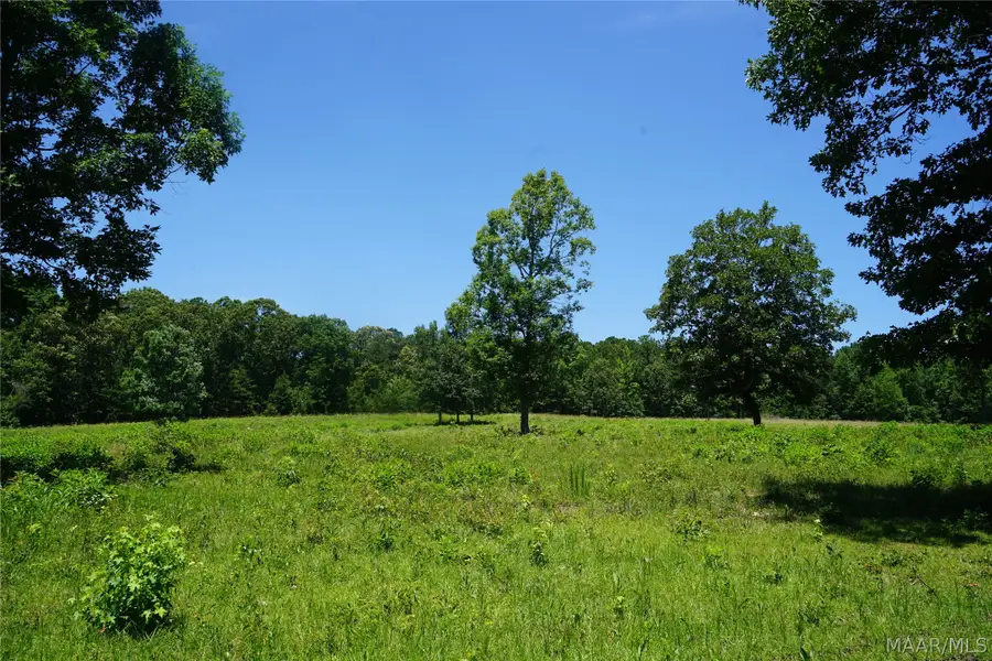150 Lindsey Road, Eclectic, AL 36024 - #3