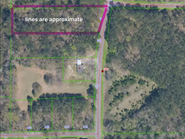 343 Central Avenue, Eclectic, AL 36024