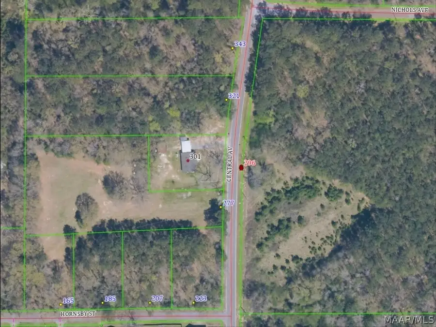 343 Central Avenue, Eclectic, AL 36024 - #2