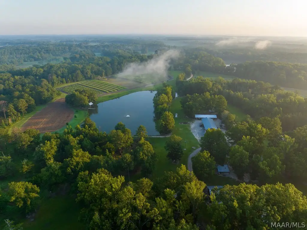 0 Dykes Road, Hurtsboro, AL 36860 - #1