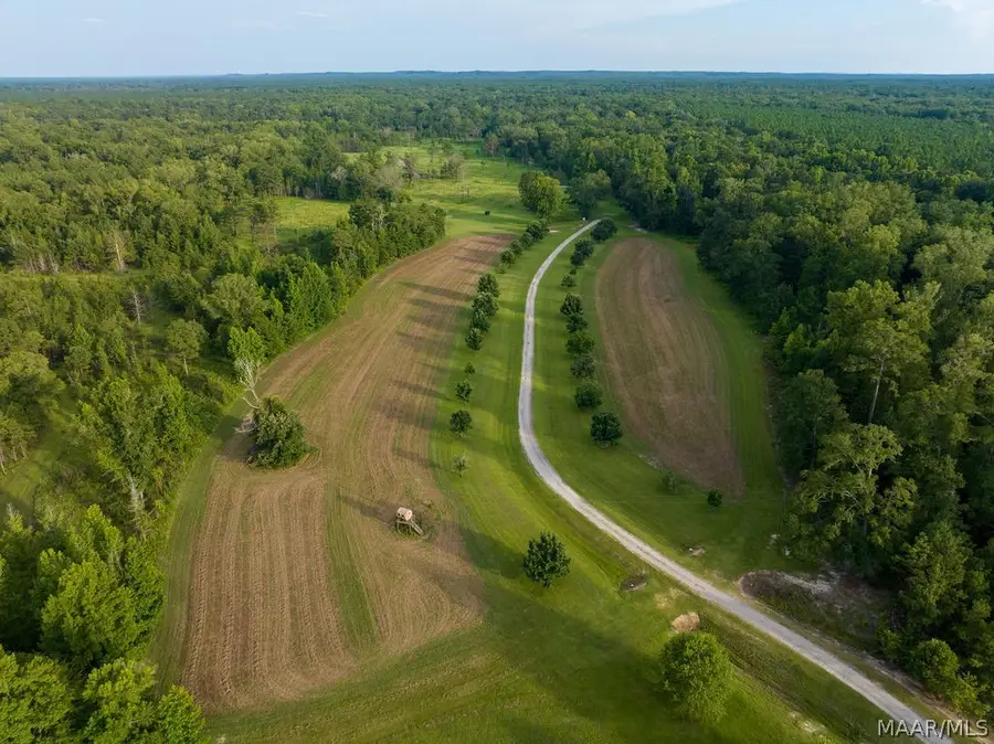 0 Dykes Road, Hurtsboro, AL 36860 - #3