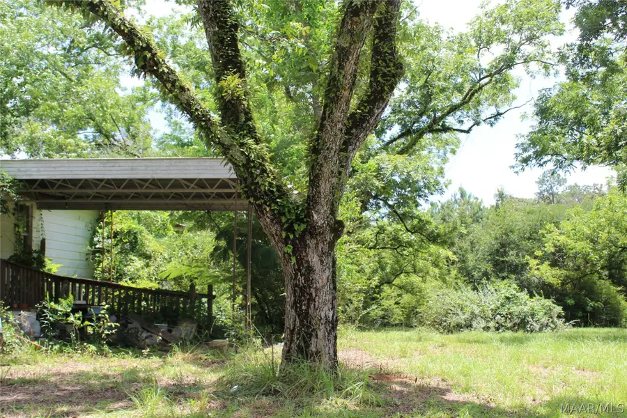 8543 Pineapple Highway, Greenville, AL 36037 - #3