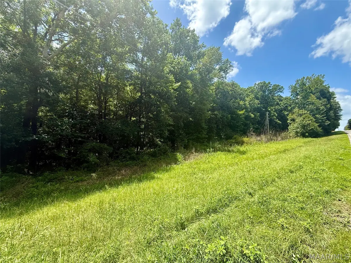 0 Highway 14 W, Autaugaville, AL 36003 - #1