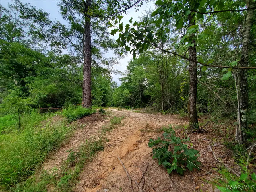 1657 County Road 19 N, Prattville, AL 36067 - #3