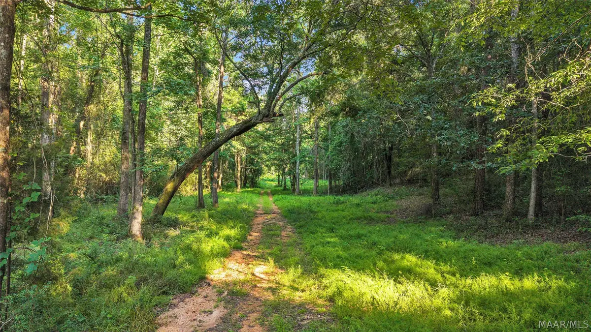1 Burt Mill Road, Tallassee, AL 36078 - #1