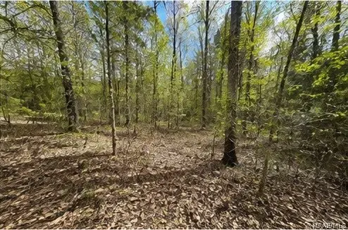 3628 Walker Chapel Road, Fultondale, AL 35068 - #3